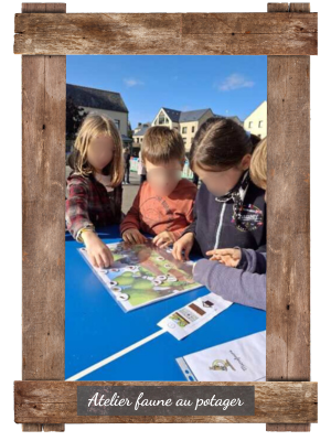 atelier faune au potager