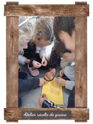 atelier récolte de graine