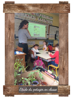 étude du potager en classe