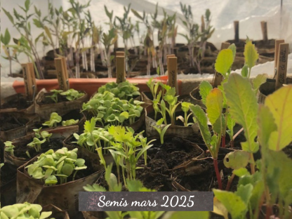 Semi mars